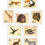 steiner-stamp-album-pages-poland-1980-pg-17-1972-zoo-animals