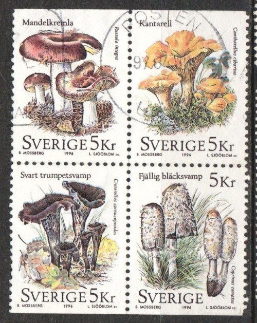 2015-04-10-0001.jpg