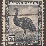 Australia-196u