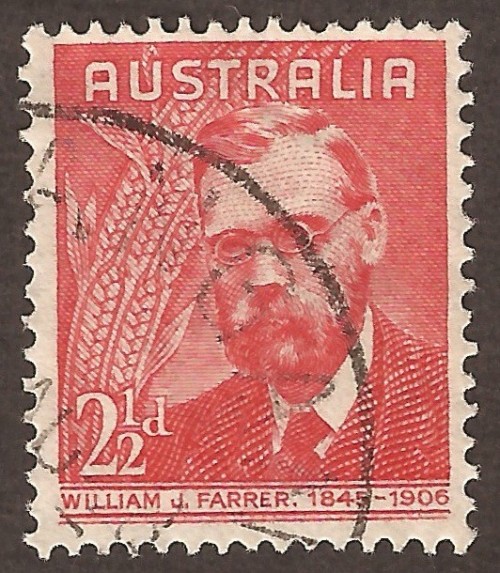 Australia-213u.jpg