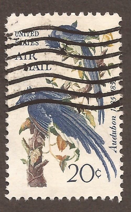 USA-airmail-stamp-C71u.jpg