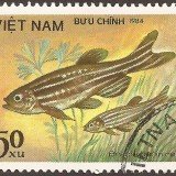 Vietnam-stamp-1406u