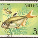 Vietnam-stamp-1409u