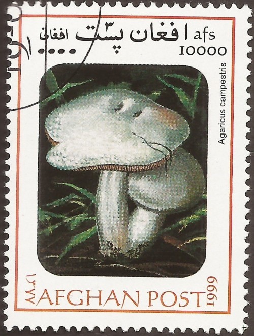 Afghanistan-Stamp-0006u.jpg