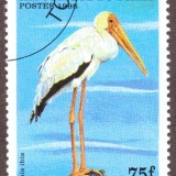 Chad-stamp-775u