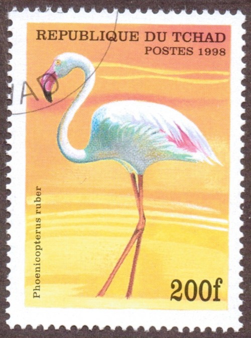 Chad-stamp-777u.jpg
