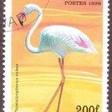 Chad-stamp-777u