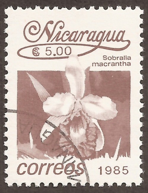 Nicaragua-stamps-1525u.jpg