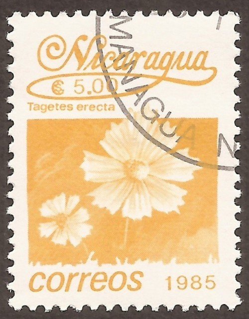 Nicaragua-stamps-1528u.jpg