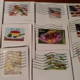 IMG_20171101_180808225