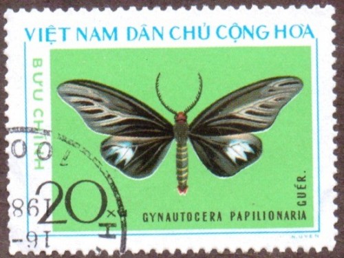 Vietnam-stamp-800u-North.jpg