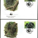 Gorilla-FDC-2