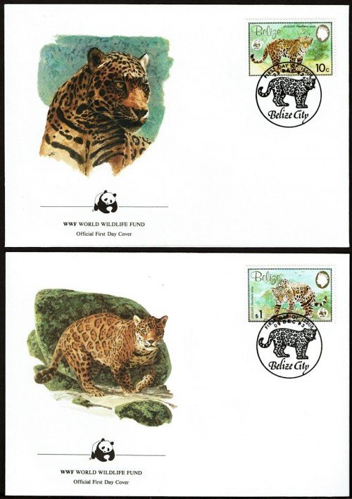 Leopards-FDC-1.jpg