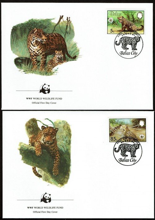 Leopards-FDC-2.jpg