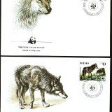 Wolves-FDC-2