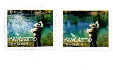 new-zealand-kiwi.jpg