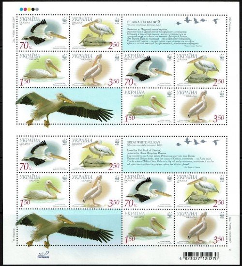 Ukraine-696e-WWF-Pelican-2007.jpg