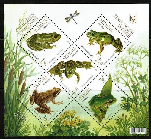 Ukraine-906-Frogs-Toads-2012.jpg