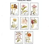 img20180226_21211558