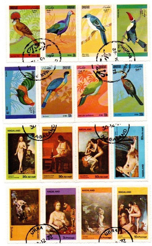 nagaland-dhufar.jpg