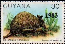 guyana1202.jpg