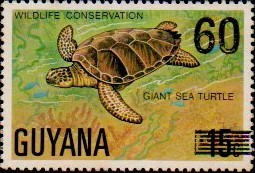 guyana1203.jpg