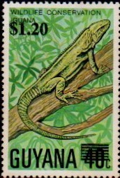 guyana1204.jpg