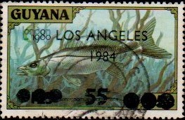 guyana1206.jpg