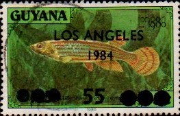 guyana1209.jpg