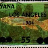 guyana1209