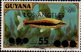 guyana1210.jpg