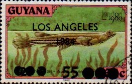 guyana1211.jpg