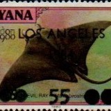 guyana1214