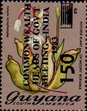 guyana1219.jpg