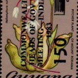 guyana1219