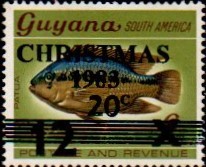 guyana1220.jpg