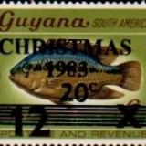 guyana1220