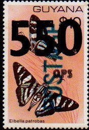 guyana1221b.jpg