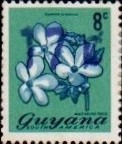 guyana1222.jpg