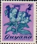 guyana1223.jpg