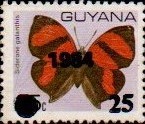 guyana1225.jpg
