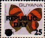 guyana1226.jpg