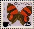 guyana1227.jpg
