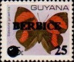 guyana1228.jpg