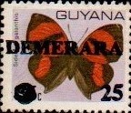 guyana1229.jpg