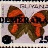 guyana1229