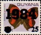 guyana1231.jpg