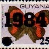 guyana1231