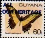 guyana1232.jpg