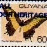 guyana1232